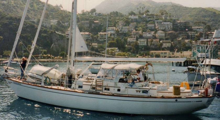 13072855_989331414478336_4898523775890853809_o